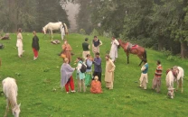 selfie season in highlands