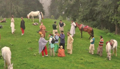 selfie season in highlands