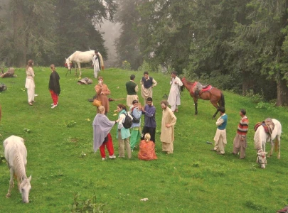 selfie season in highlands selfie season in highlands