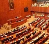 senate activity surges despite key gaps
