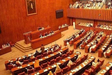 senate panel orders action on medical seats