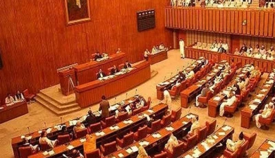 senate panel wants two dozen ministries axed