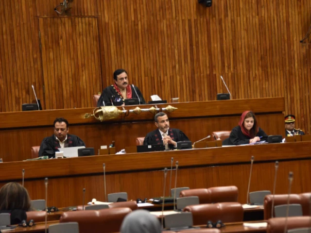 deputy chairman of the senate syed ali khan chairing the session photo senate of pakistan facebook deputy chairman of the senate syed ali khan chairing the session photo senate of pakistan facebook