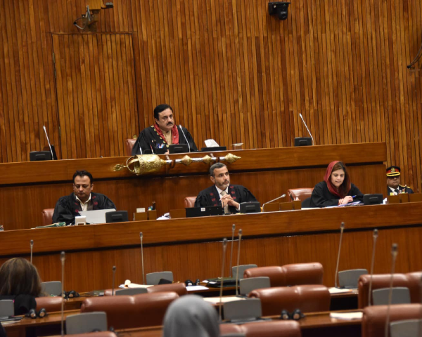 deputy chairman of the senate syed ali khan chairing the session photo senate of pakistan facebook