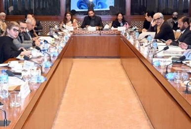 senator faisal saleem rehman chairman of the senate standing committee on interior presides over a committee meeting at parliament house islamabad on january 27 2026 photo x
