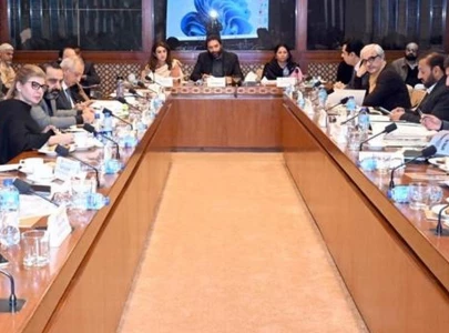 senate committee moves to cancel arms licences of non tax filers