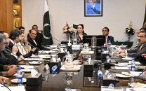 senate panel orders probe into navttc funds sets up fake degree verification desk