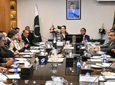 senate panel orders probe into navttc funds sets up fake degree verification desk