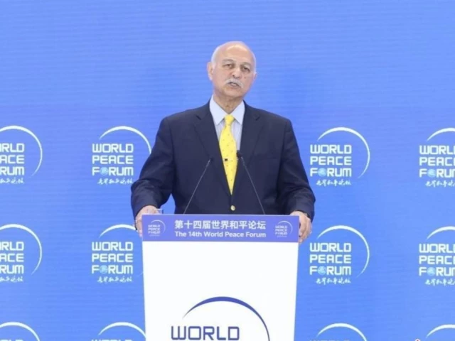 Global South should lead emerging world order, Senator Hussain says at World Peace Forum | The Express Tribune Global South should lead emerging world order, Senator Hussain says at World Peace Forum | The Express Tribune