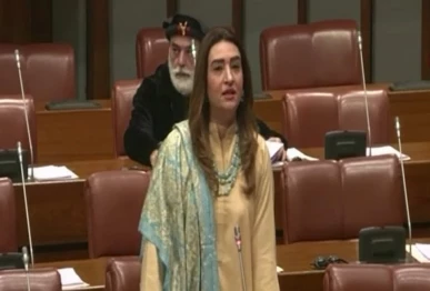 senator bushra anjum photo screengrab