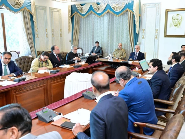 PM Shehbaz says govt prepared to face any situation amid global tensions PM Shehbaz says govt prepared to face any situation amid global tensions