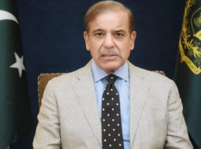 pm shehbaz pledges enhanced labour welfare align domestic laws with global standards pm shehbaz pledges enhanced labour welfare align domestic laws with global standards