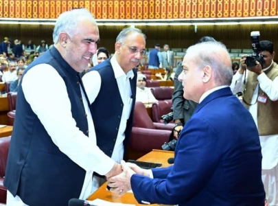 pm shehbaz sharif extends olive branch to incarcerated imran khan pm shehbaz sharif extends olive branch to incarcerated imran khan