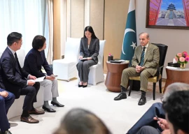 pm courts chinese firms for investment pm courts chinese firms for investment