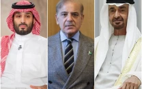 pakistan stands in full solidarity with saudi arabia gulf countries pm