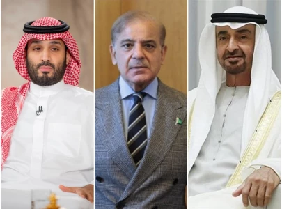 pakistan stands in full solidarity with saudi arabia gulf countries pm