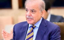 pakistan stands by pre 1967 borders for palestine pm pakistan stands by pre 1967 borders for palestine pm