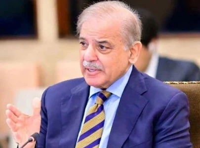 pakistan stands by pre 1967 borders for palestine pm pakistan stands by pre 1967 borders for palestine pm
