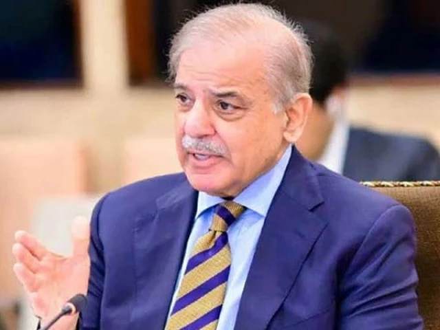 Pakistan stands by ‘pre-1967’ borders for Palestine: PM