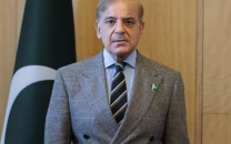 shehbaz calls khamenei s assassination a violation of international law
