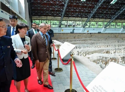 pm shehbaz visits historical chinese terracotta warriors museum in xi an pm shehbaz visits historical chinese terracotta warriors museum in xi an
