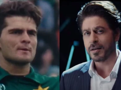 icc releases odi world cup promo starring shahrukh shaheen