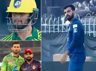 shadab khan s on field clash with shaheen afridi steals spotlight in lions vs panthers match shadab khan s on field clash with shaheen afridi steals spotlight in lions vs panthers match