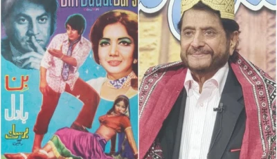 shahid calls for support for film industry