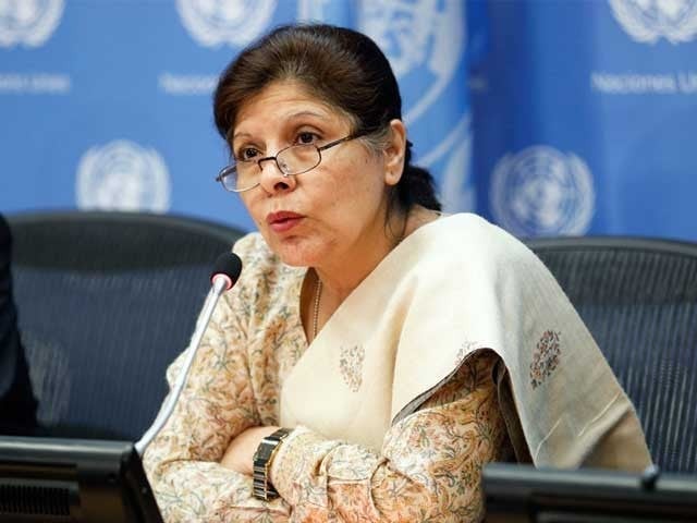 Pakistan’s financial system to develop by 2-2.5% this FY: Shamshad