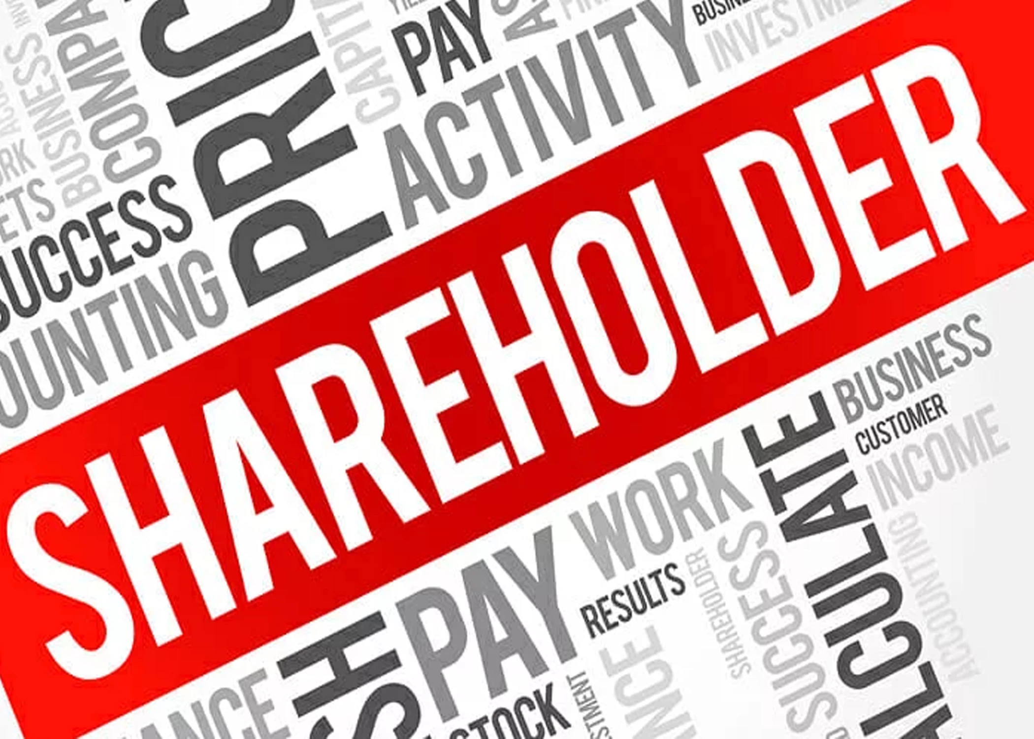 Macroeconomic effects of financialisation