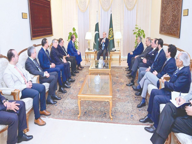 prime minister shehbaz sharif interacts with a delegation of us investors led by gentry beach in islamabad photo ppi