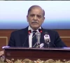 govt announces special courts university quota for overseas pakistanis govt announces special courts university quota for overseas pakistanis