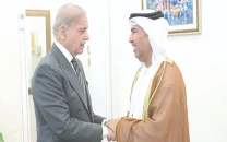 shehbaz urges uae to invest in key sectors