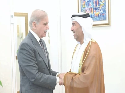 shehbaz urges uae to invest in key sectors