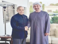 prime minister shehbaz sharif shakes hands with uae president sheikh mohamed bin zayed al nahyan during a meeting in rahim yar khan photo express