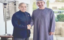 pm meets uae president in ryk
