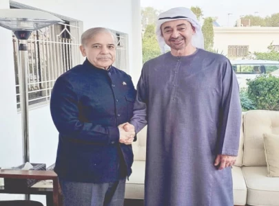 pm meets uae president in ryk pm meets uae president in ryk