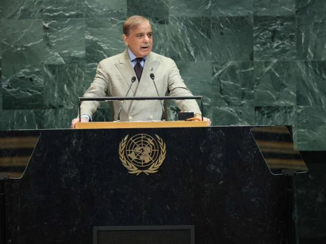 shehbaz-afp-un1758896254-0-640x480.webp