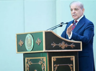 pm shehbaz launches national olive value chain policy to cut import bill
