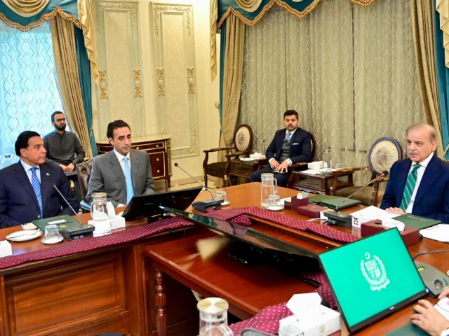 a delegation of pakistan peoples party calls on prime minister shehbaz sharif on april 24 2025 photo pid a delegation of pakistan peoples party calls on prime minister shehbaz sharif on april 24 2025 photo pid