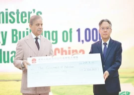 pm calls for farm sector revamp pm calls for farm sector revamp