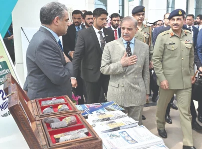 pakistan courts investors to develop mineral riches