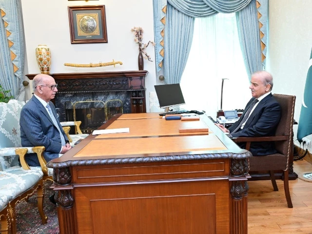 pml n parliamentary party leader irfan siddiqui calls on prime minister shehbaz sharif on tuesday july 1 2025 photo app