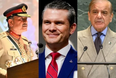 a combination of photos showing chief of defence staff and chief of army staff field marshal asim munir us defence secretary pete hegseth and prime minister shehbaz sharif photo file