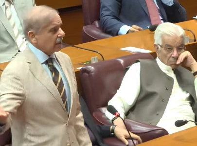 achakzai questions state policies shehbaz vows response in national assembly
