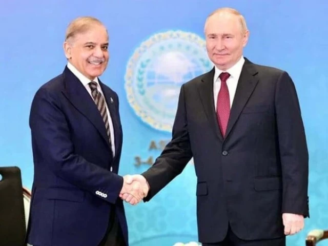 prime minister shehbaz sharif and russian president vladimir putin are expected to meet in china next week on the sidelines of sco