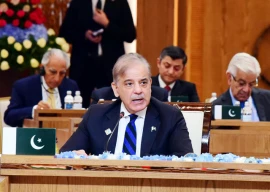 pm shehbaz demands israel s accountability for war crimes in palestine