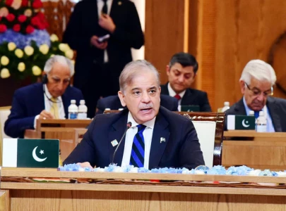 pm orders committee to reactivate neelum jhelum hydropower project pm orders committee to reactivate neelum jhelum hydropower project