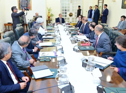 pm shehbaz orders crackdown on tax evasion