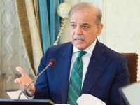 prime minister shehbaz sharif photo pid